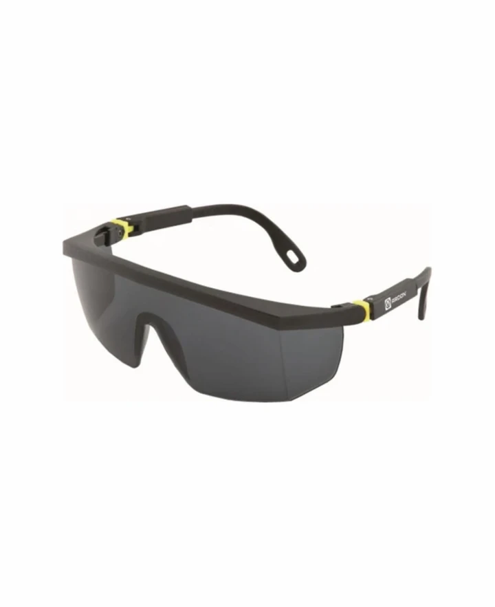 Aizsargbrilles V10-100
