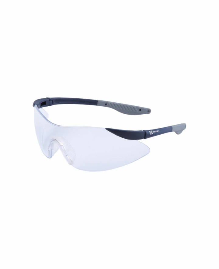 Aizsargbrilles V7000