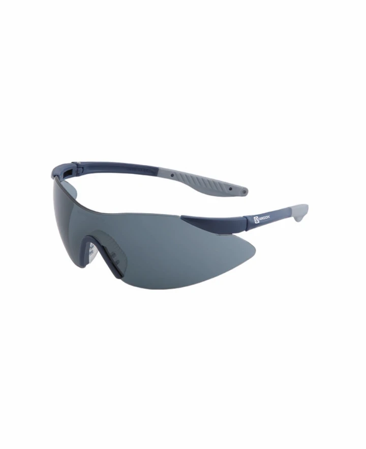 Aizsargbrilles V7100