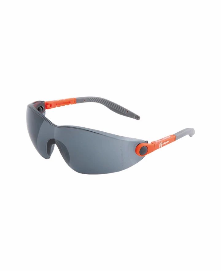 Aizsargbrilles V6100