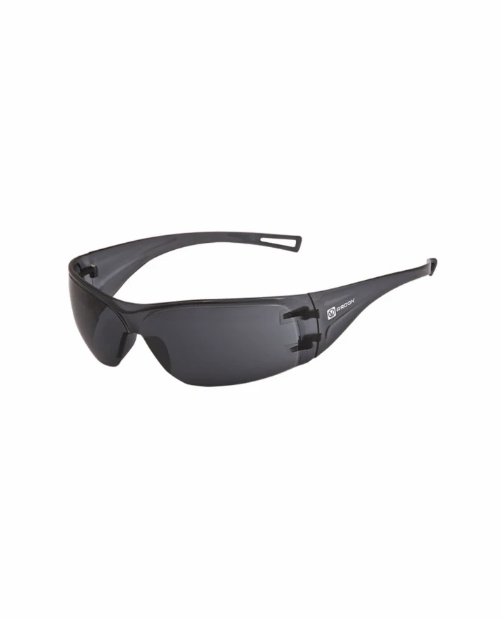 Aizsargbrilles M5100