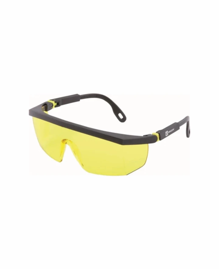 Aizsargbrilles V10-200