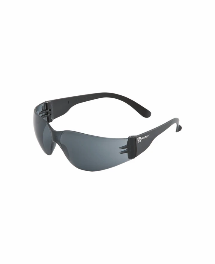 Aizsargbrilles V9200