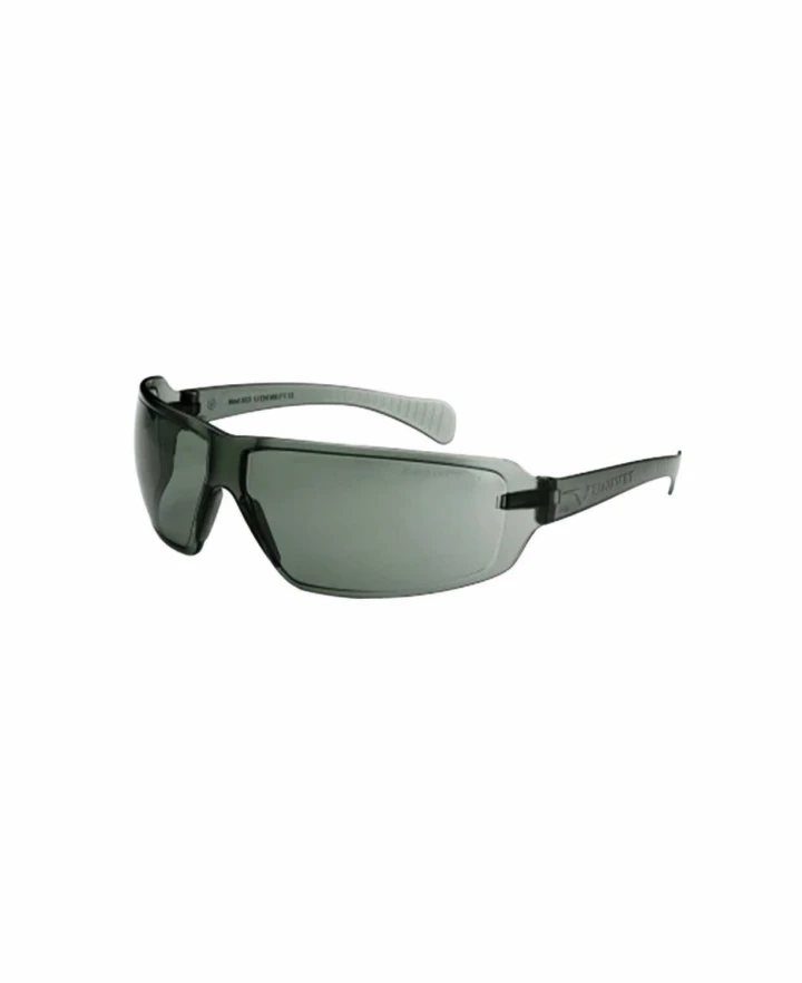 Aizsargbrilles UNIVET 553Z G15
